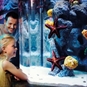 London SEA LIFE Aquarium Tickets with Meal Included